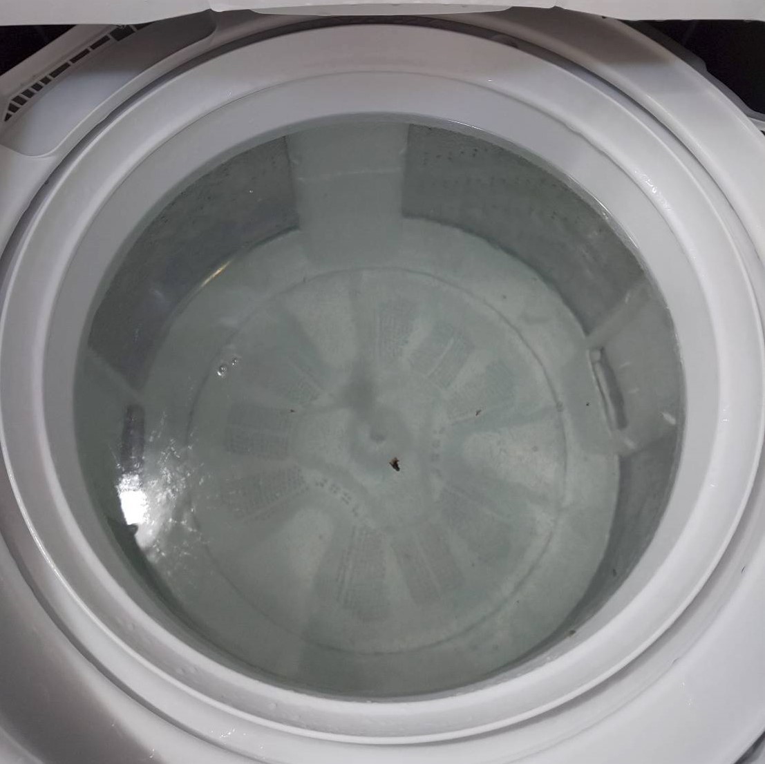 洗浄 洗濯 機